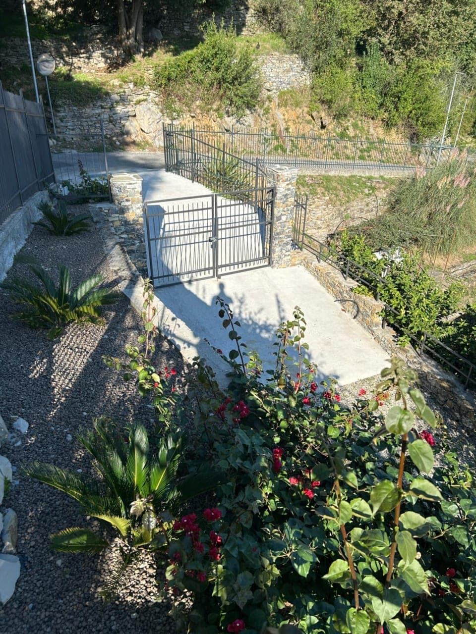 Spring, Day, Garden, Garden view