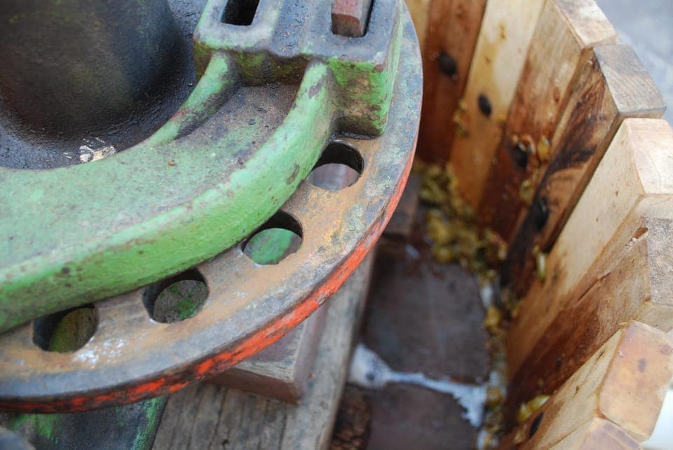 Other, Autumn, Entertainment