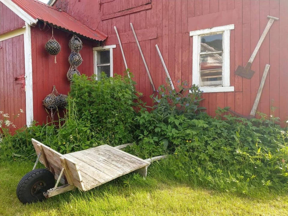 Facade/entrance, Summer, Garden, Decorative detail, On site