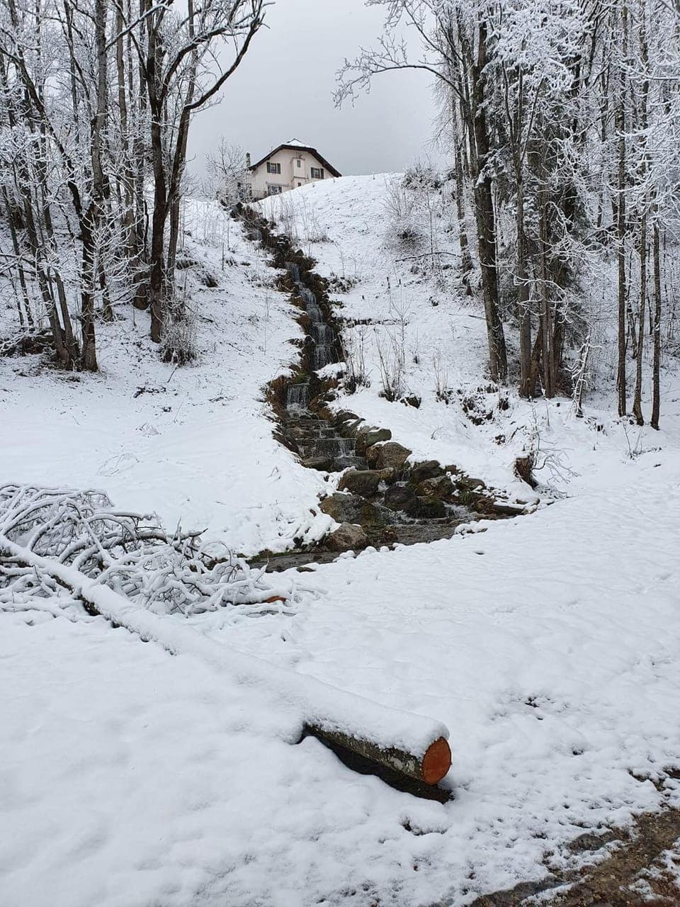 Natural landscape, Winter