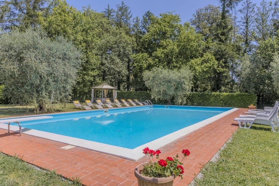 Garden, Pool view, Swimming pool