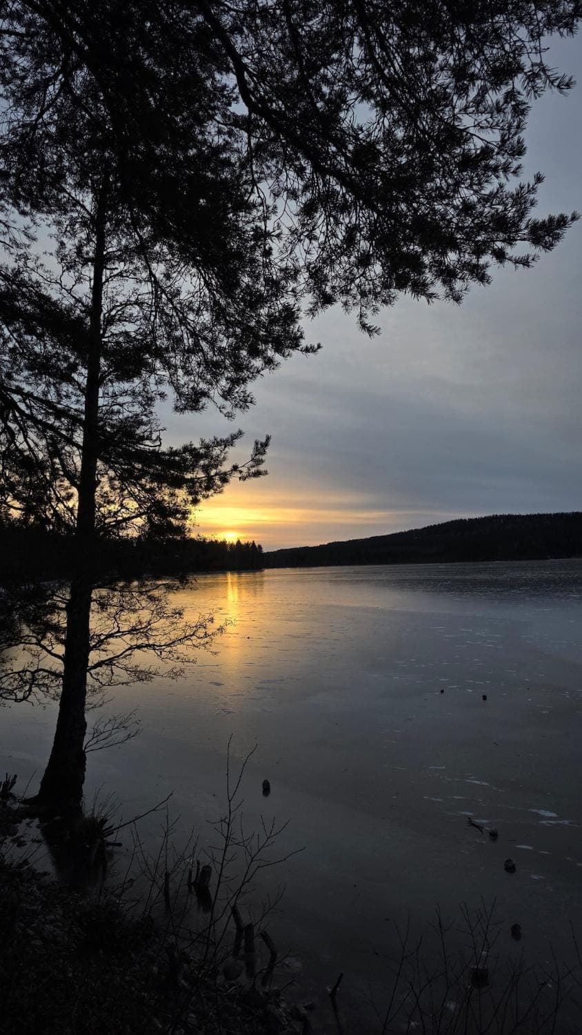 Natural landscape