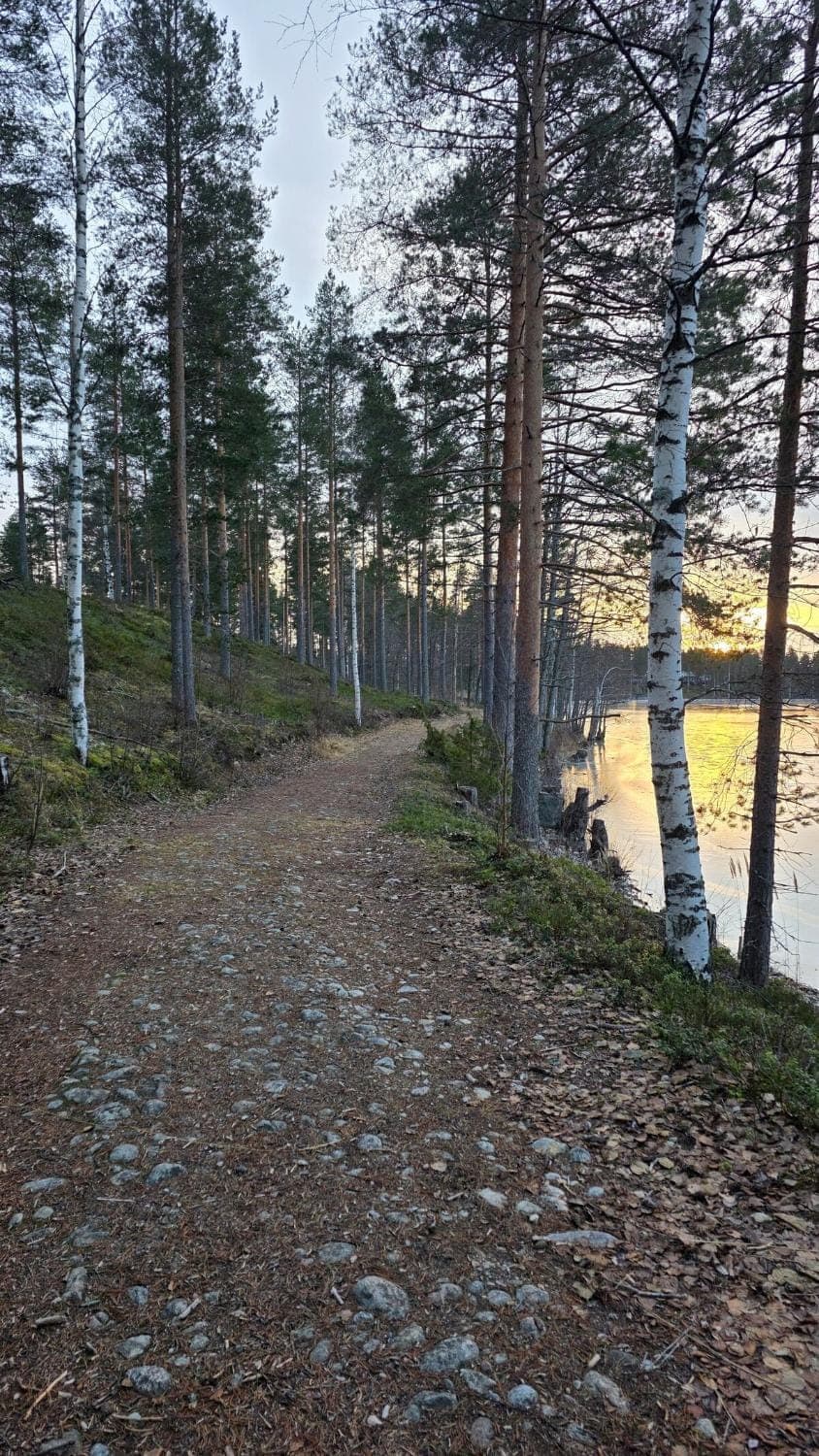 Natural landscape