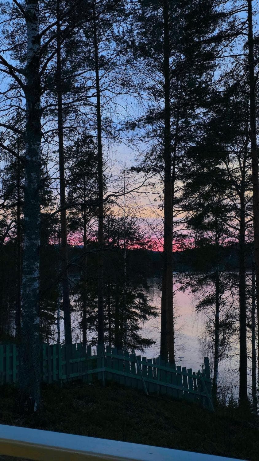 Kolin Saunaharju 1 - paritaloasunto House in Finland