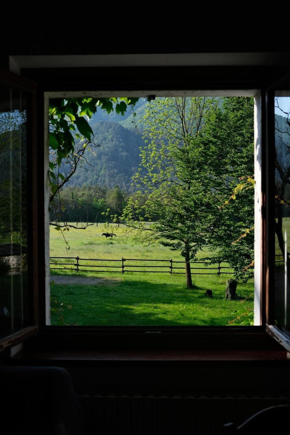 Day, Garden, Garden view