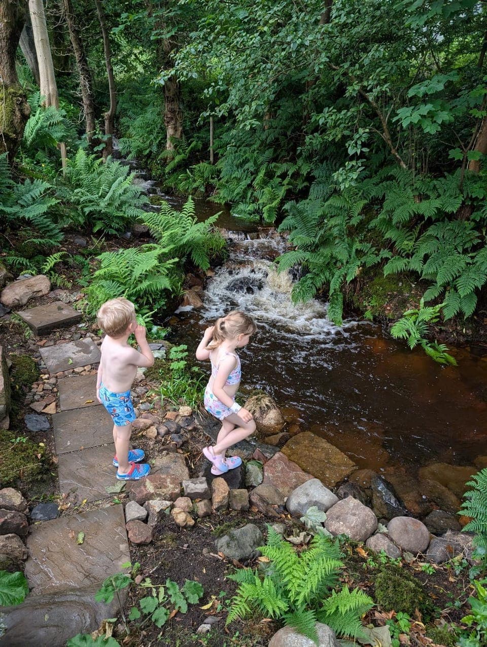 Spring, Natural landscape, Garden, Sauna, River view
