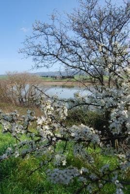 Natural landscape, Hiking