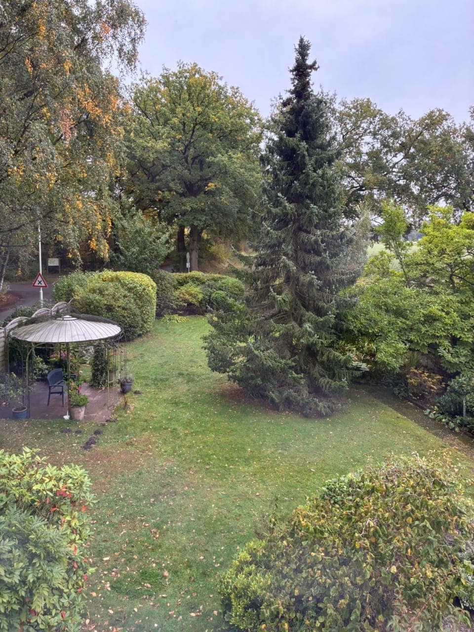 Spring, Day, Natural landscape, Garden, View (from property/room), View (from property/room), Garden view