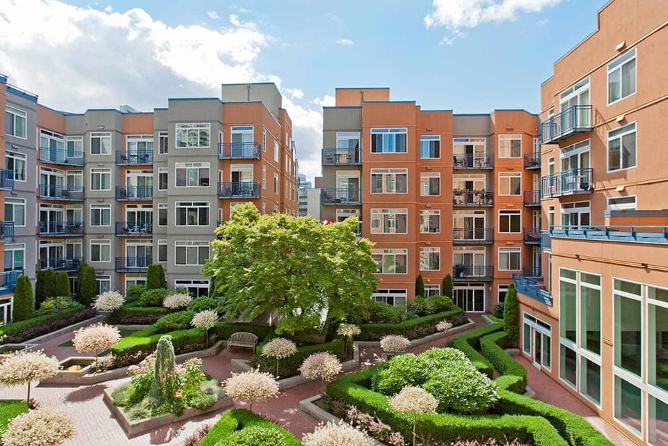 Patio, Garden, Inner courtyard view