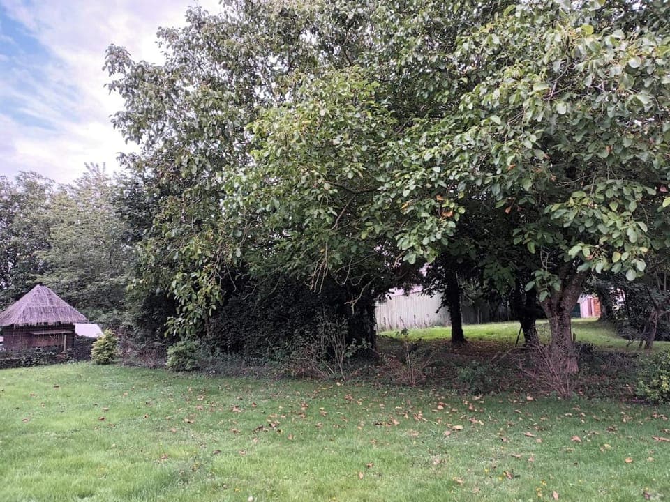 Natural landscape, Garden, Garden view