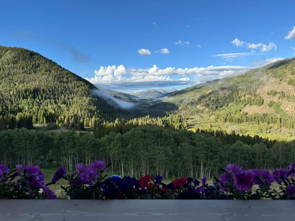 Mountain view