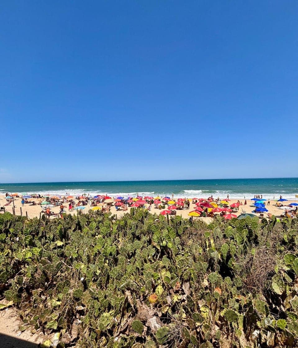 Nearby landmark, Day, Natural landscape, Beach