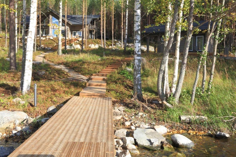 Lake view