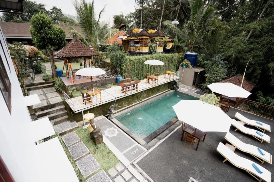 Property building, Patio, Day, Garden, Garden view, Pool view, Swimming pool, sunbed