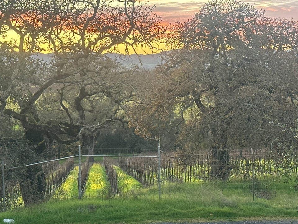 Balcony/Terrace, Balcony/Terrace