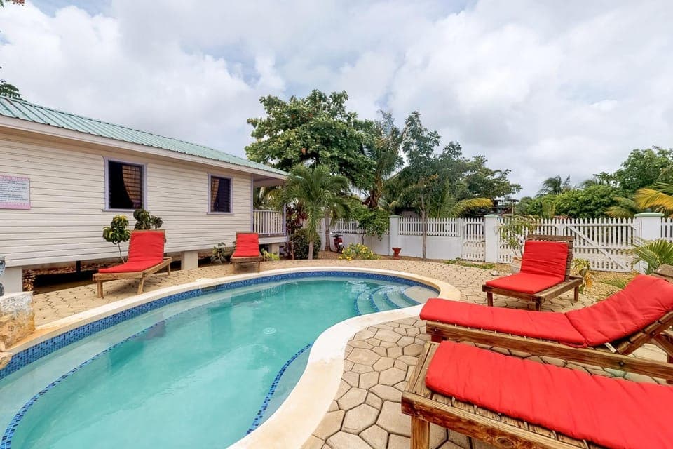 Green Iguana at Latitude Adjustment -Gold Standard Certified Hotel in Hopkins