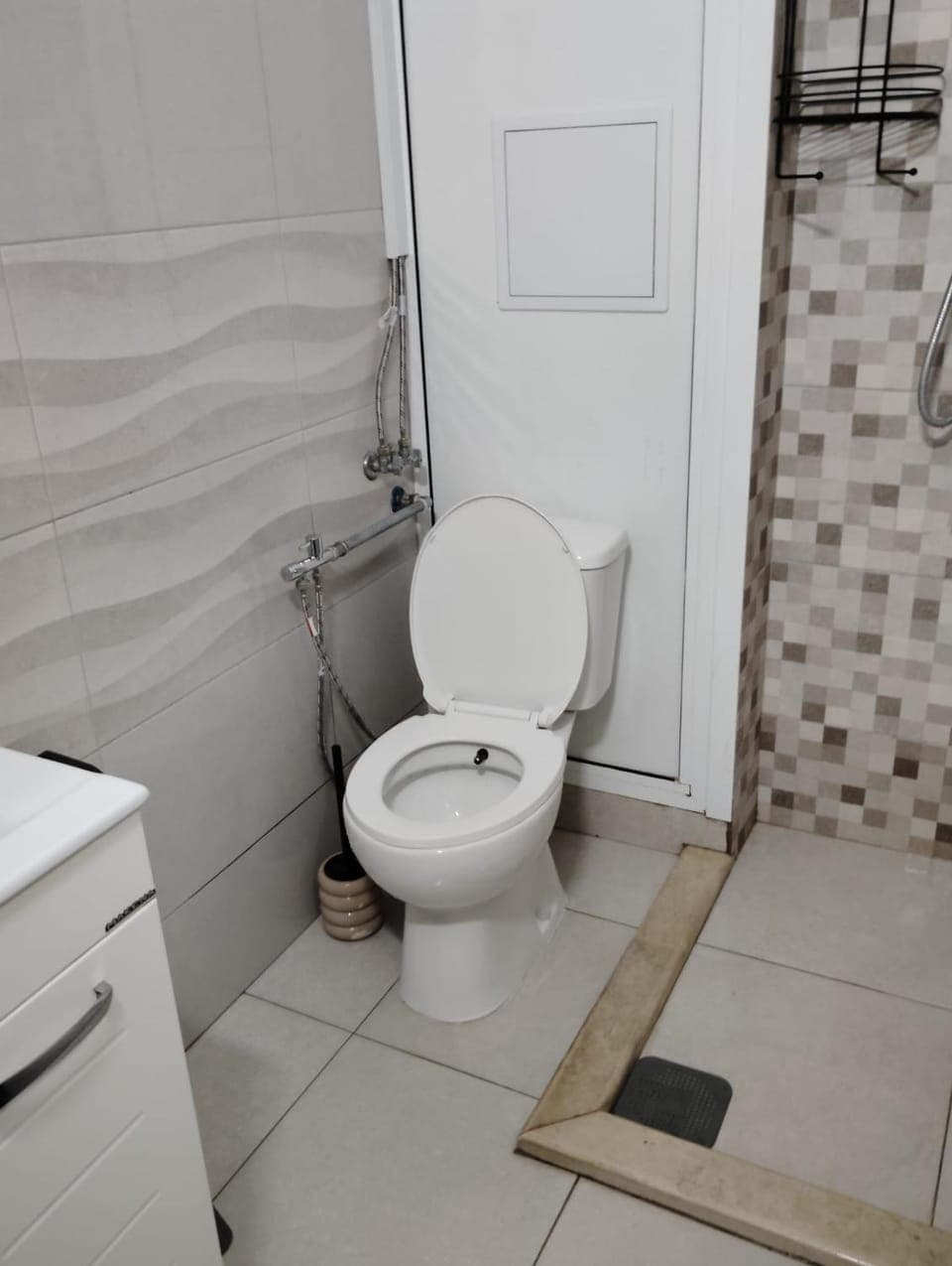 Shower, Toilet, Bathroom, bidet