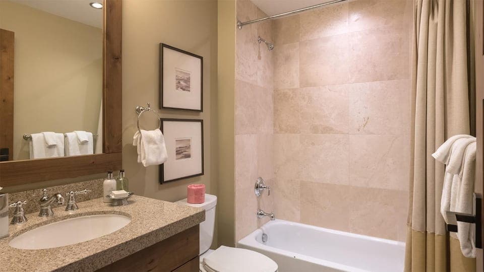 Shower, Toilet, Bathroom, Bath, towels