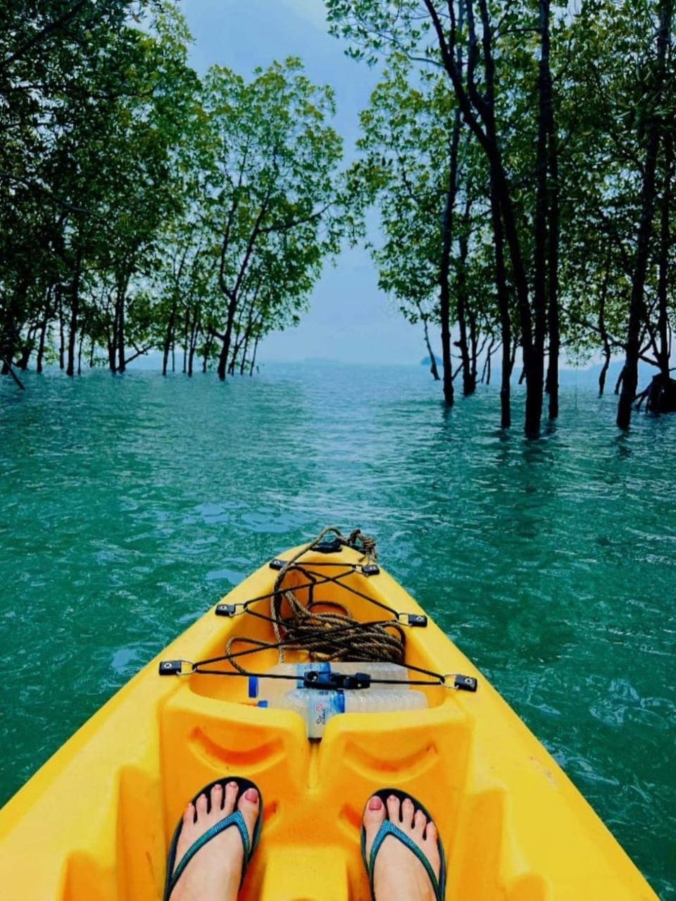 Day, Natural landscape, Activities