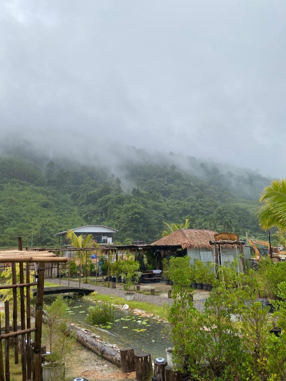 View (from property/room)