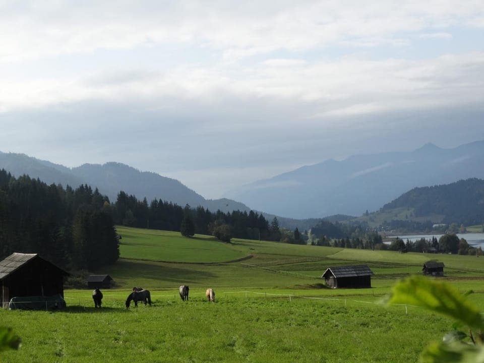 Day, Natural landscape, Garden, Mountain view
