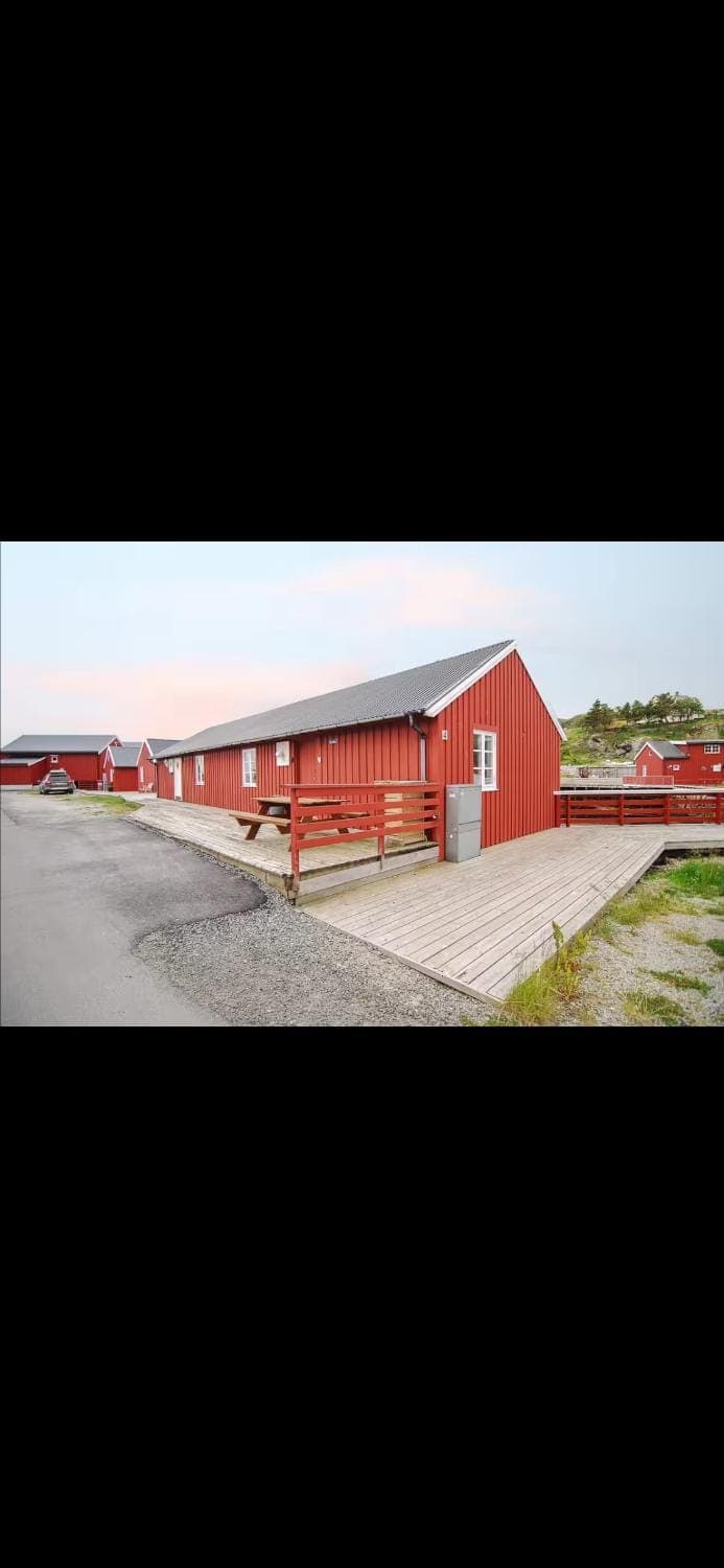 Stinebua Apartment in Lofoten