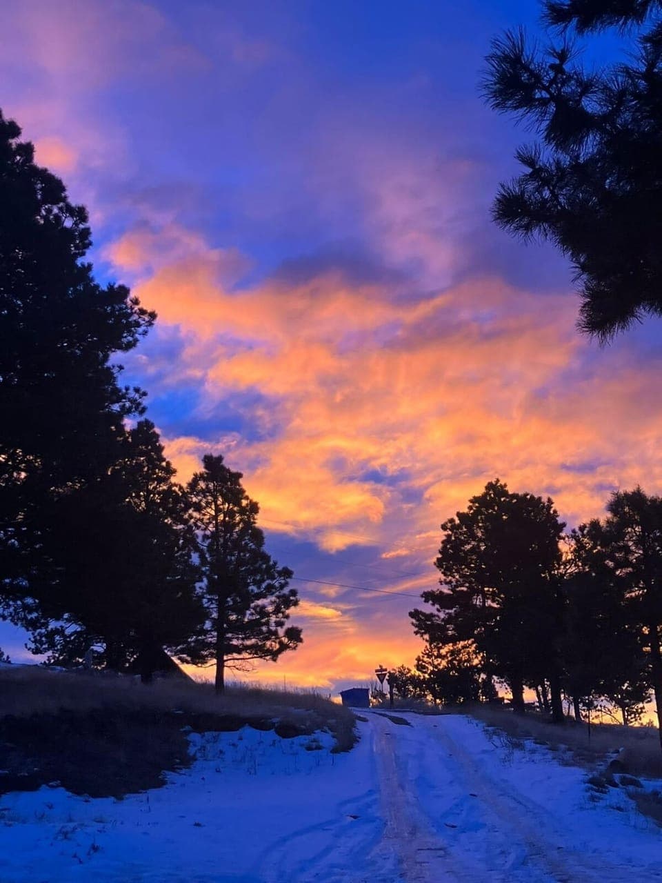 Natural landscape, Winter, Sunrise
