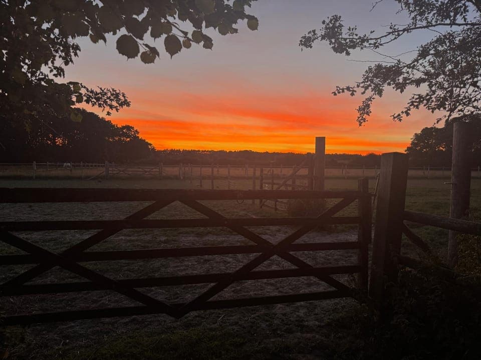 Day, View (from property/room)