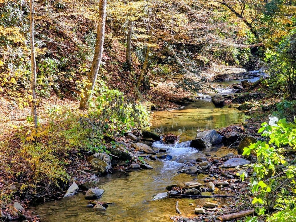 Natural landscape