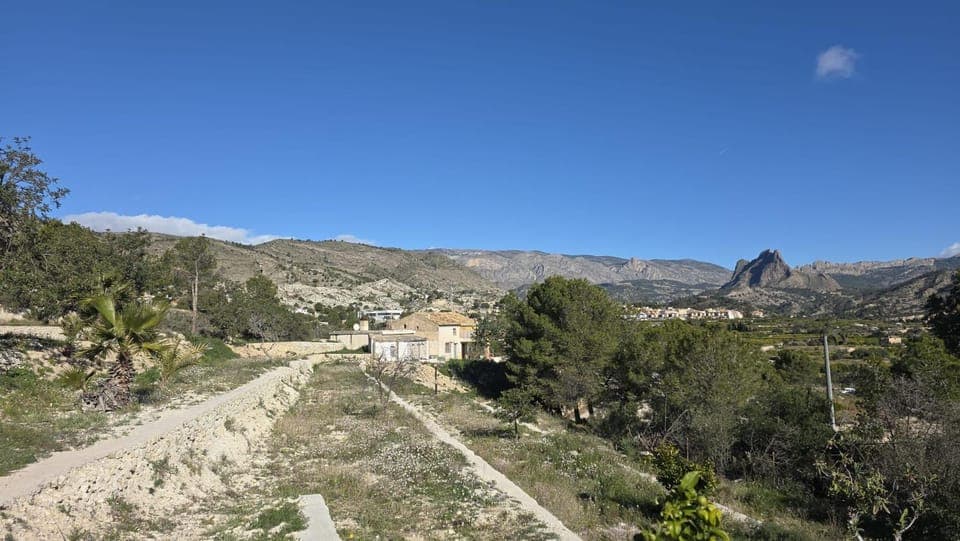 Mountain view