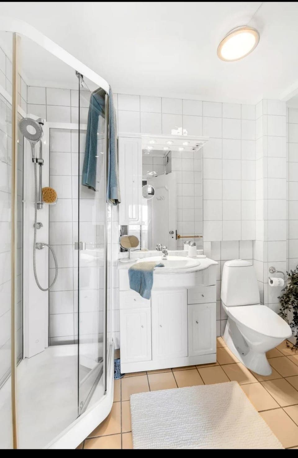 Shower, Toilet, Bathroom, Bath