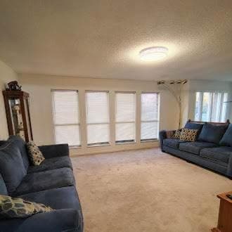 Family-Friendly 3BR Home in Prime Knoxville Location House in Knoxville