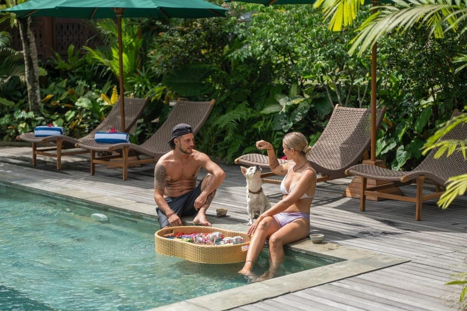 Natural landscape, Food and drinks, Pool view, Swimming pool, sunbed