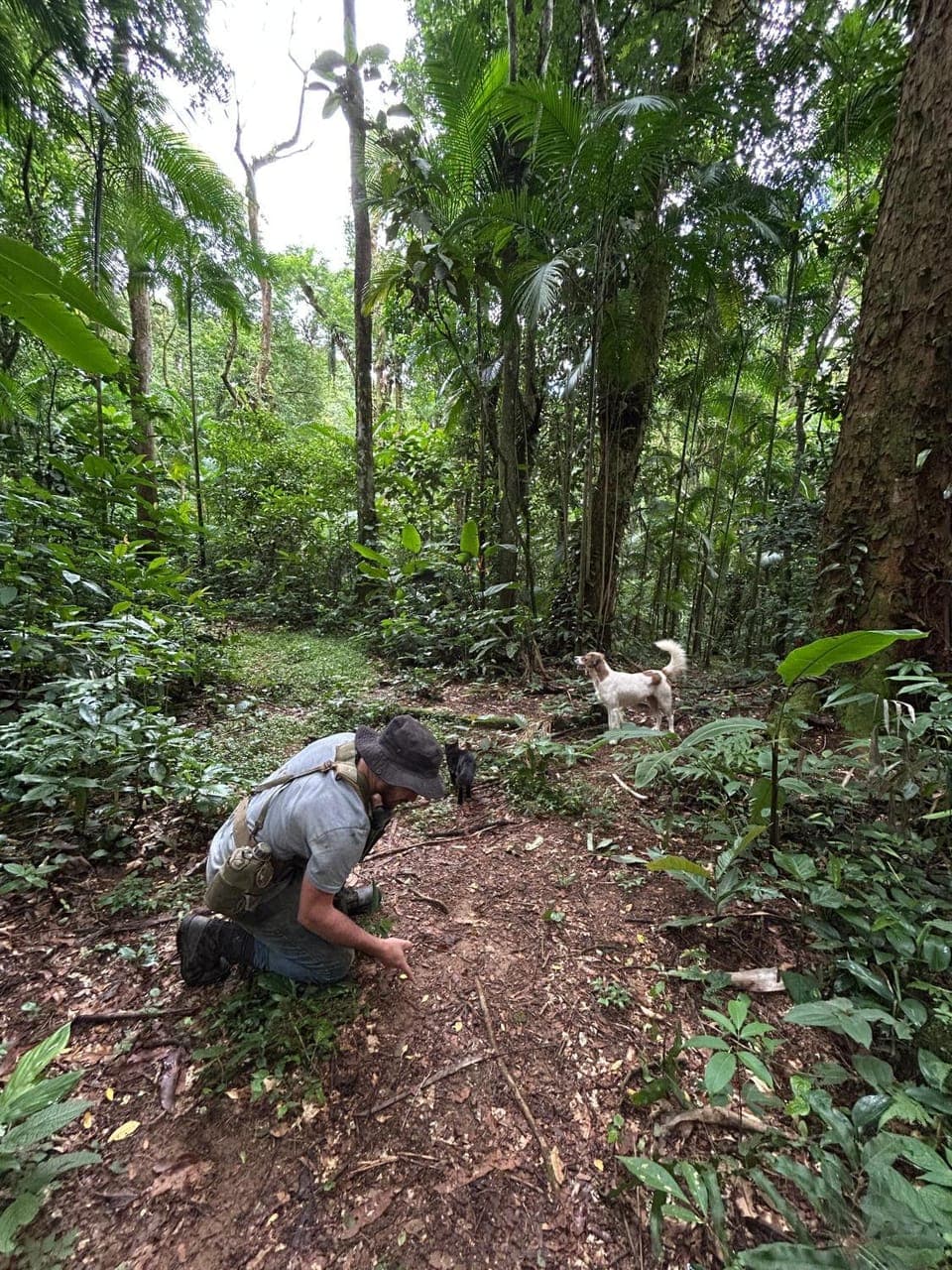 Natural landscape, Garden, Hiking