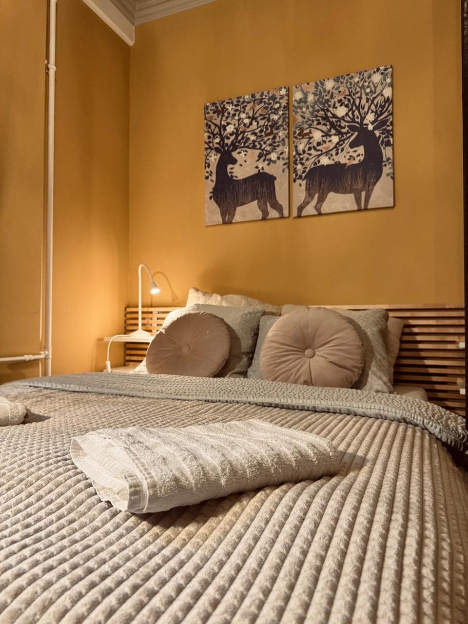 Bed, Photo of the whole room, Bedroom