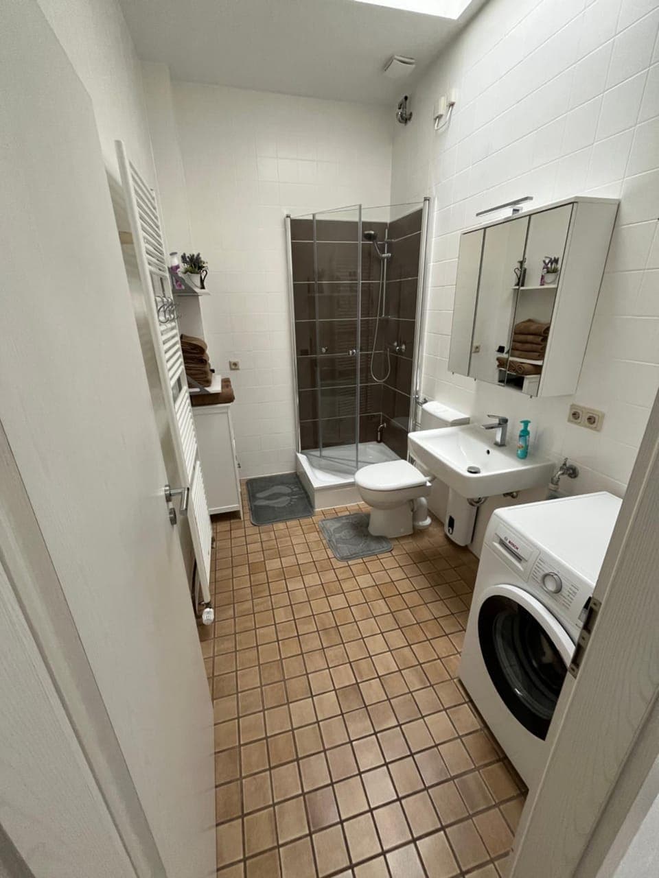 Shower, Toilet, washing machine