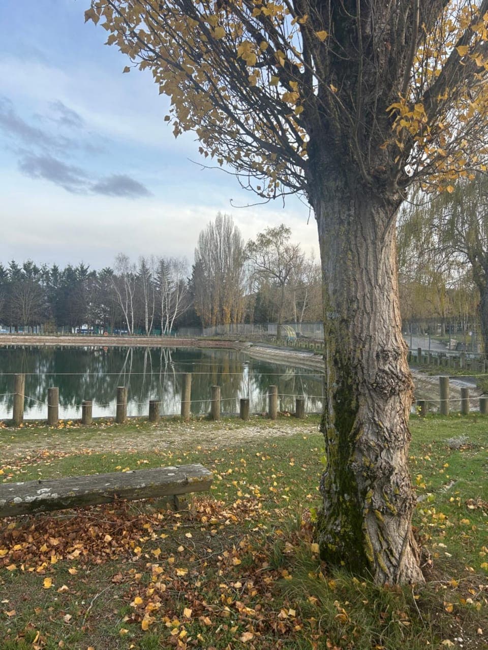 Logo/Certificate/Sign