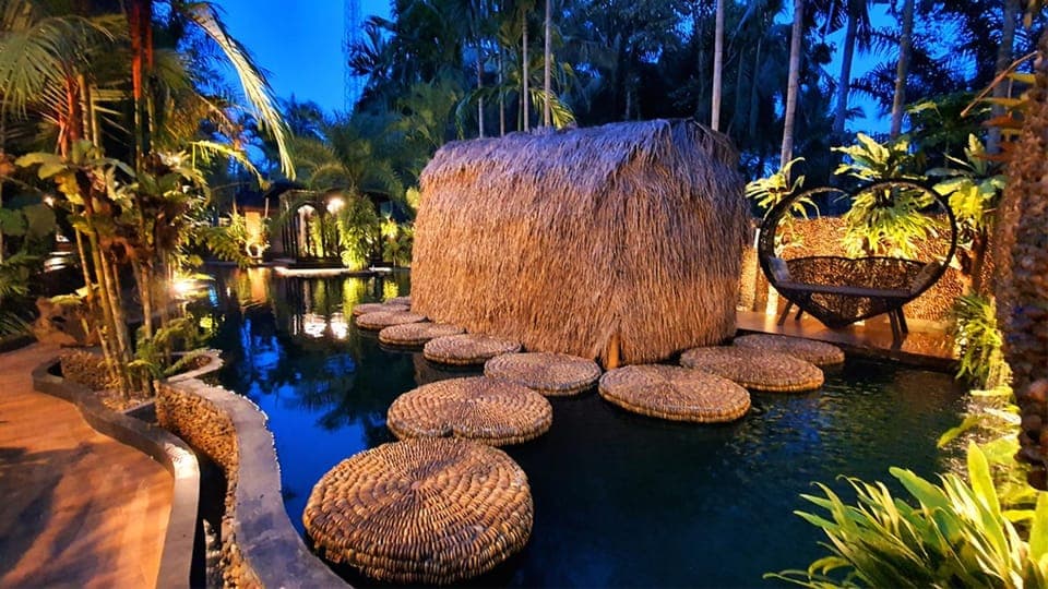 Animals, Swimming pool