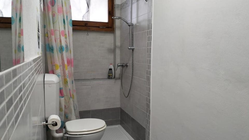 Shower, Toilet, Bathroom, bidet