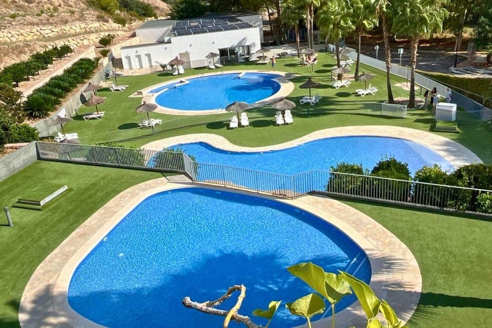 Natural landscape, Garden, Garden view, Pool view, Swimming pool, sunbed