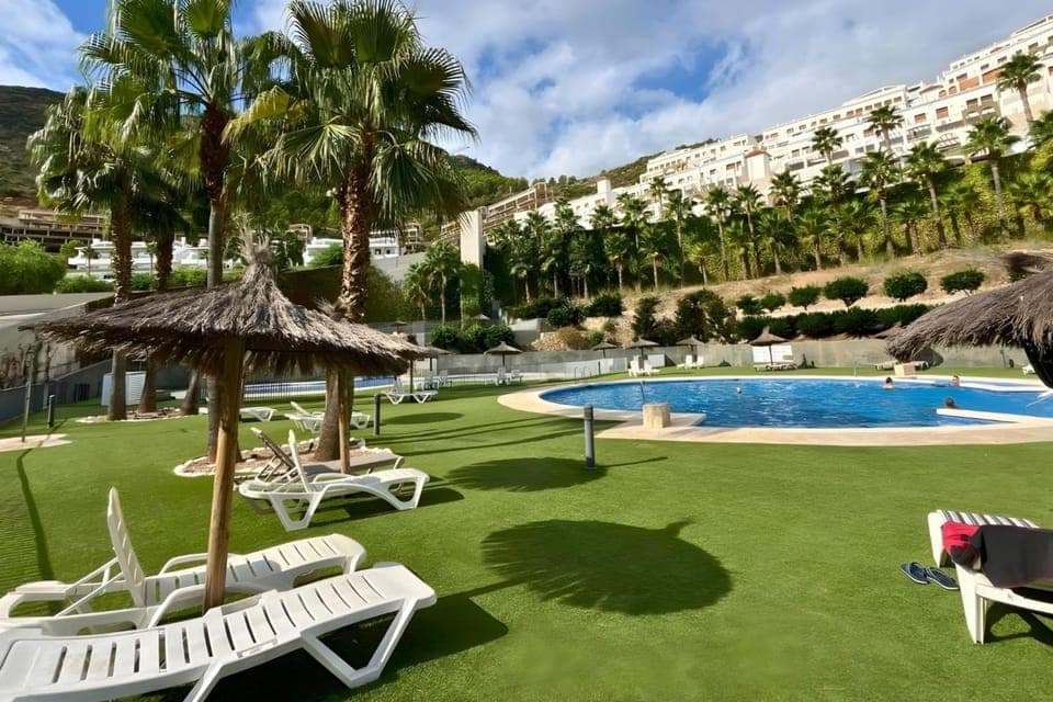 Natural landscape, Garden, Garden view, Pool view, Swimming pool, sunbed