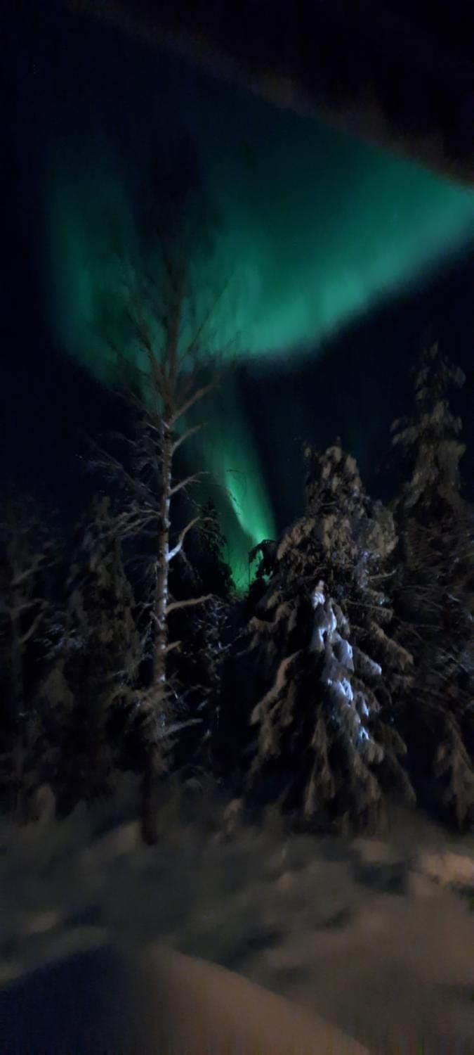 Night, Natural landscape, Winter, View (from property/room), Inner courtyard view