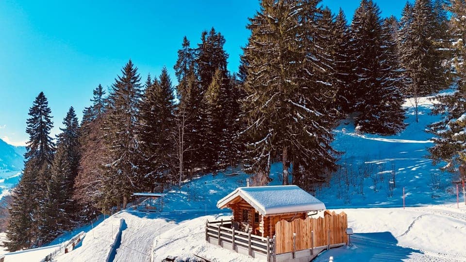 Property building, Natural landscape, Winter