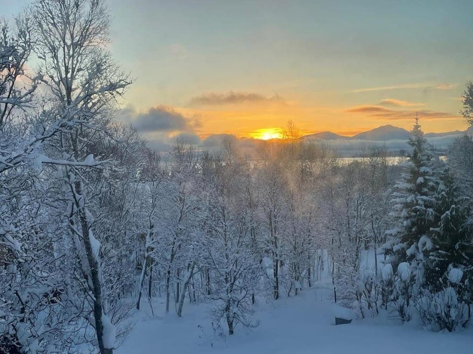 Sunrise