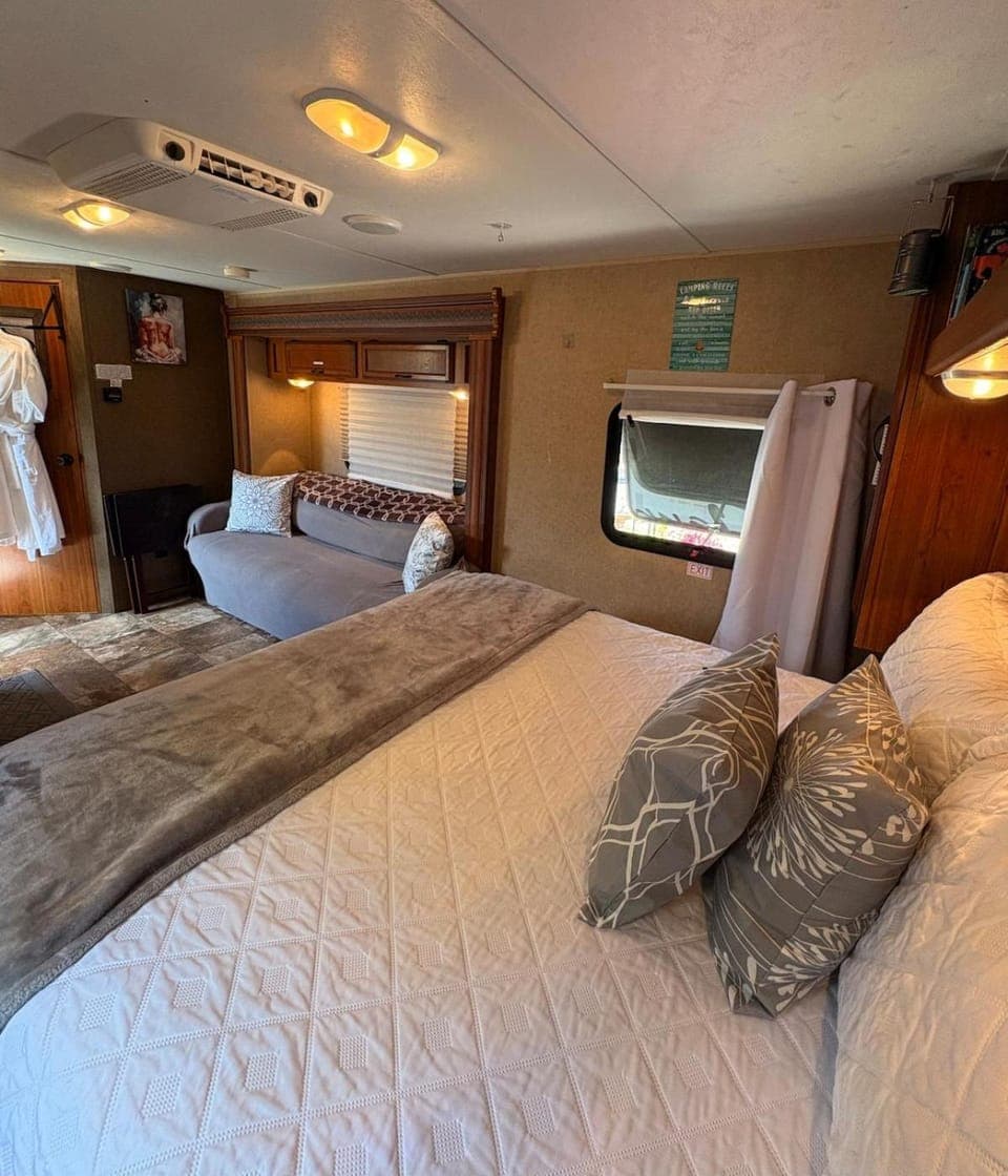 Bed, Seating area, Bedroom