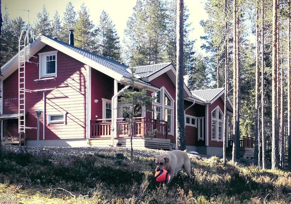 Property building, Garden, Balcony/Terrace, Pets