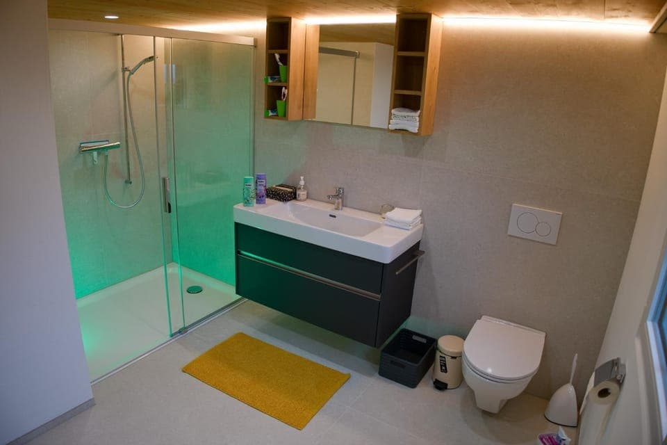 Shower, Toilet, Bathroom, towels