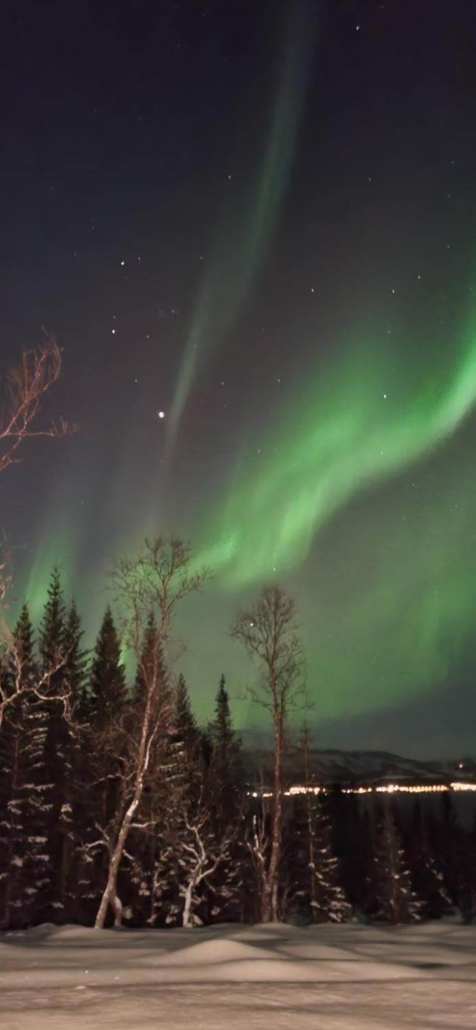 Hiet- Arctic cabin in the norwegian forrest! Cabin in Troms Og Finnmark