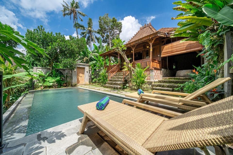 Property building, Natural landscape, Garden, Garden view, Pool view, Swimming pool, sunbed