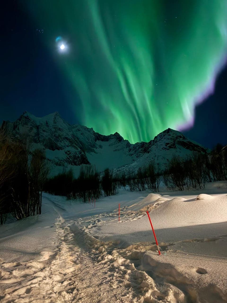 Camp Mefjord Hostel in Nordland, Norway